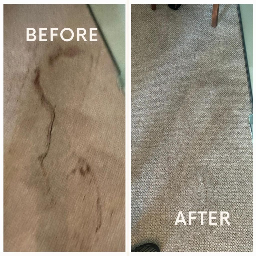 carpet cleaning before after 1